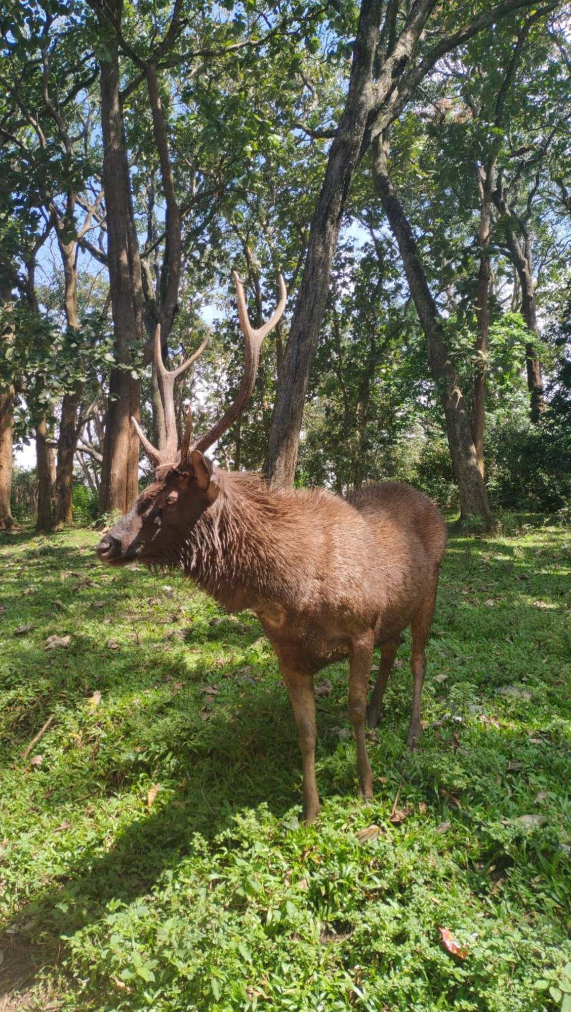Wild Window - Forest View Homestay Thekkady Luaran gambar