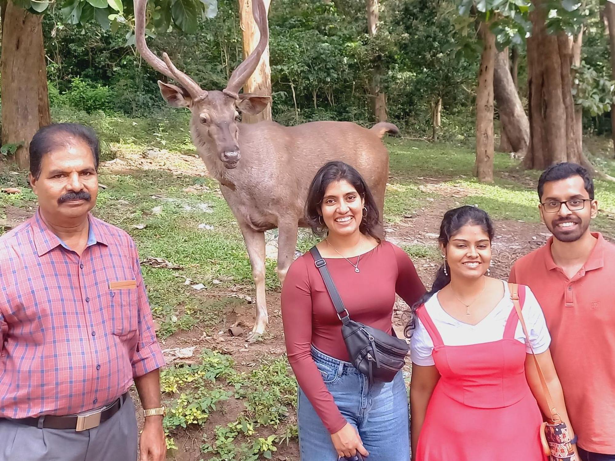 Wild Window - Forest View Homestay Thekkady Luaran gambar