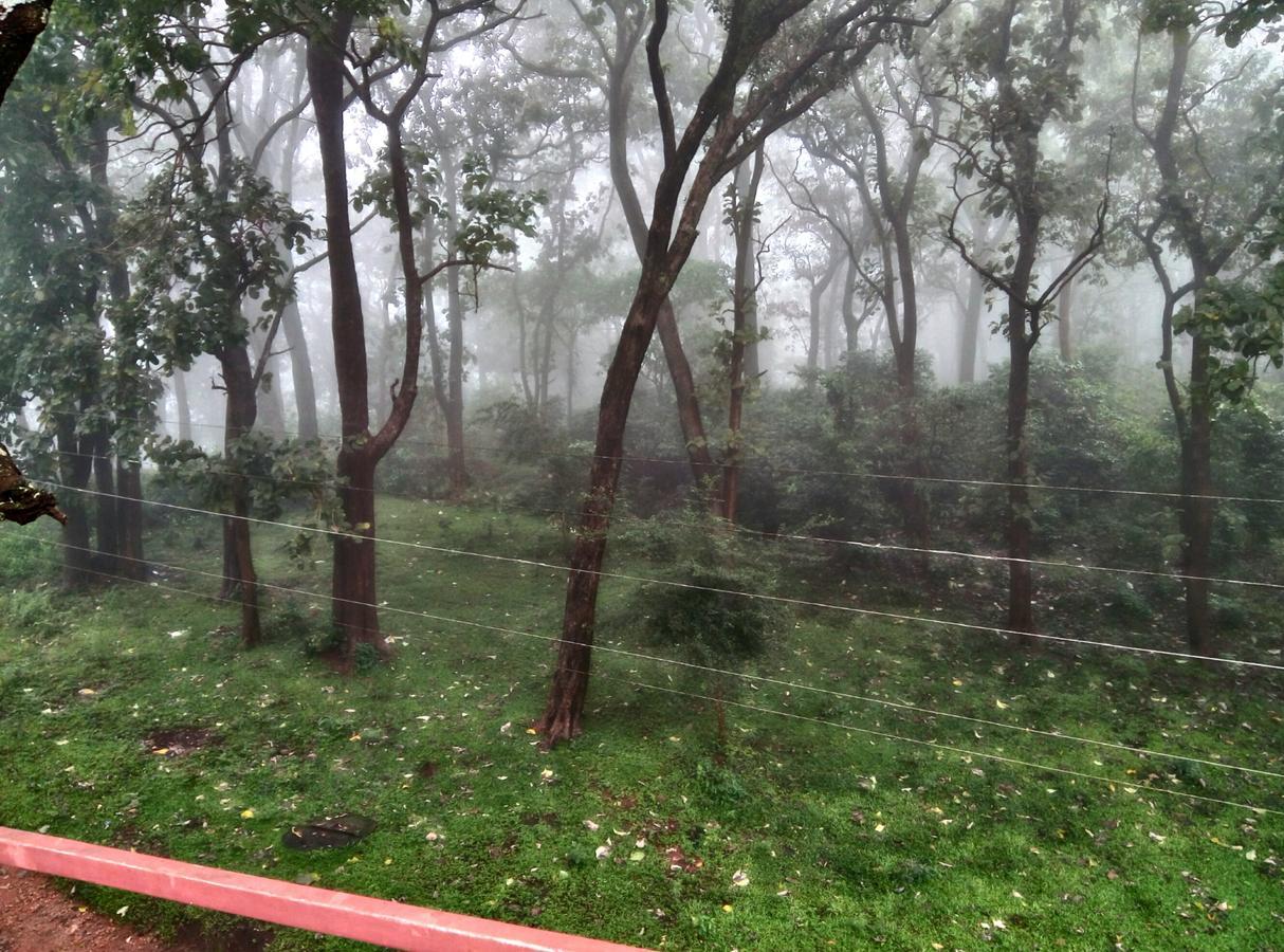 Wild Window - Forest View Homestay Thekkady Luaran gambar