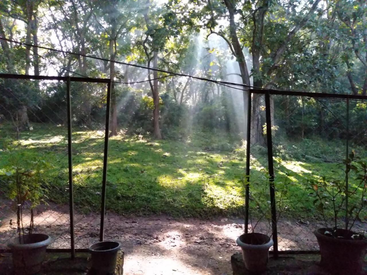 Wild Window - Forest View Homestay Thekkady Luaran gambar